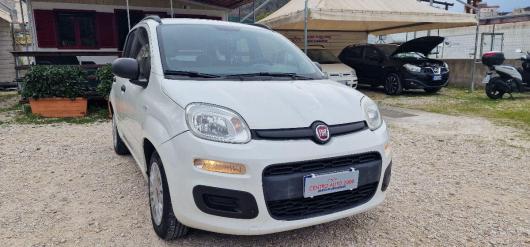 usato FIAT Panda