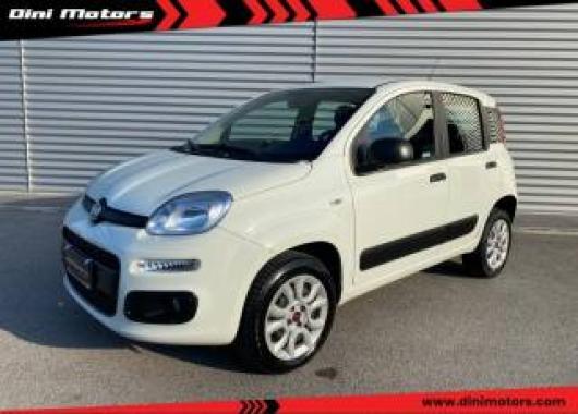 usato FIAT Panda