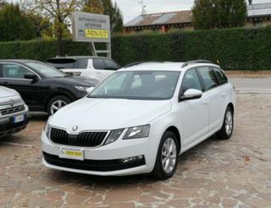 usato SKODA Octavia