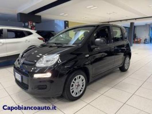 usato FIAT Panda