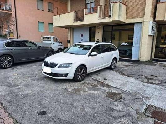 usato SKODA Octavia