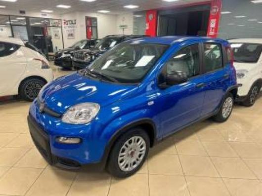 usato FIAT New Panda