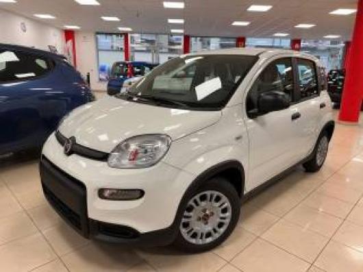 usato FIAT New Panda