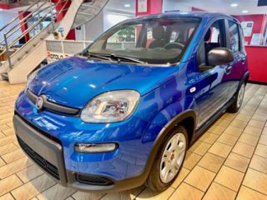 usato FIAT New Panda