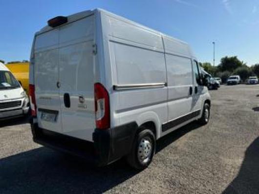 usato FIAT Ducato