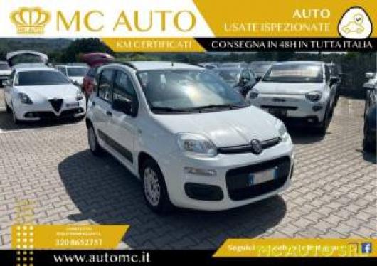 usato FIAT Panda