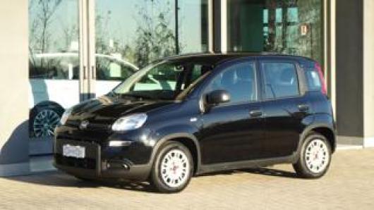 usato FIAT Panda