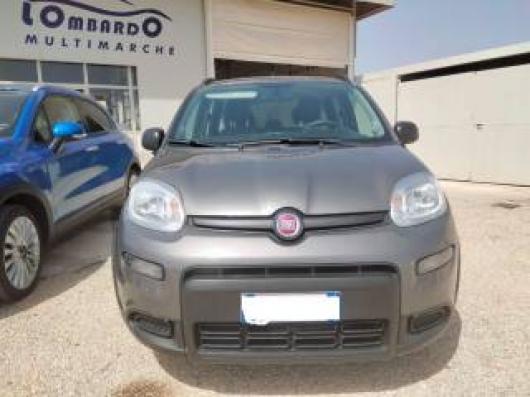 usato FIAT Panda