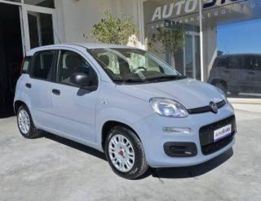 usato FIAT Panda