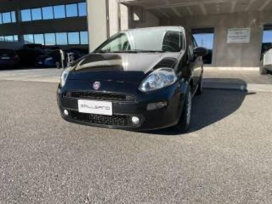 usato FIAT Punto