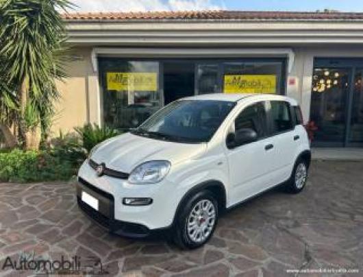 usato FIAT Panda