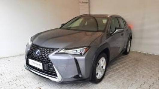 usato LEXUS UX 250h