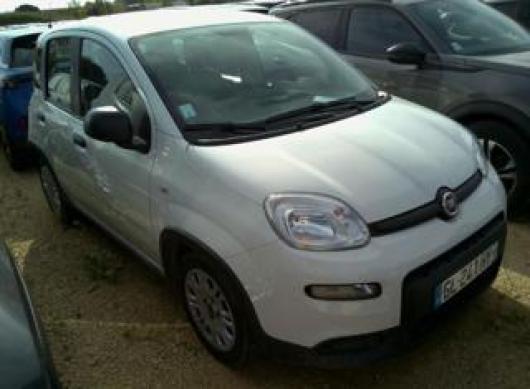 usato FIAT Panda