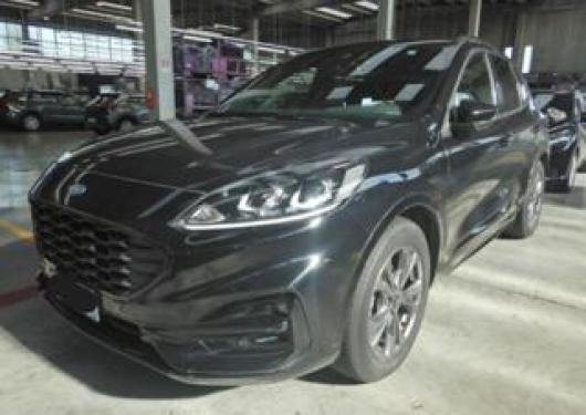 usato FORD Kuga