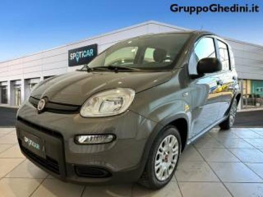 usato FIAT Panda