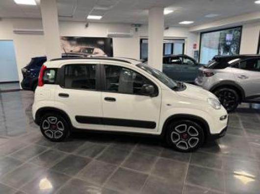 usato FIAT Panda