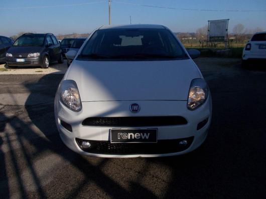 usato FIAT Punto