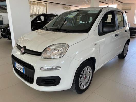 usato FIAT Panda