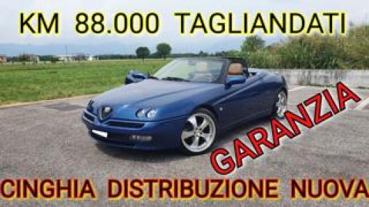 usato ALFA ROMEO Spider