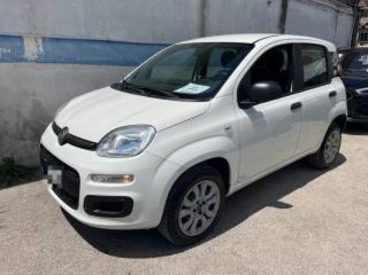 usato FIAT Panda