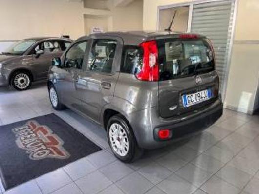 usato FIAT Panda