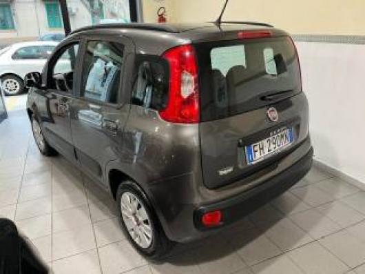 usato FIAT Panda