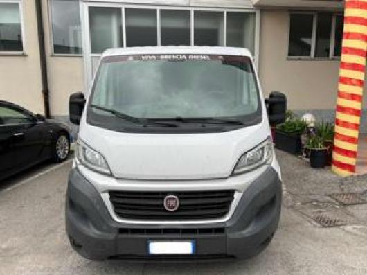 usato FIAT Ducato