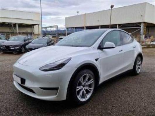 usato TESLA Model Y