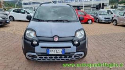 usato FIAT Panda