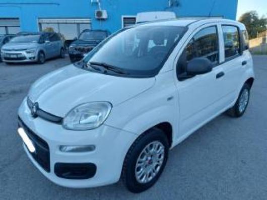 usato FIAT Panda