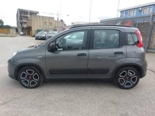 usato FIAT Panda