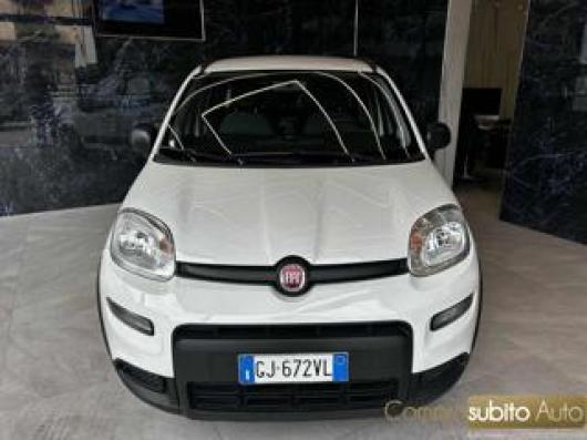 usato FIAT Panda