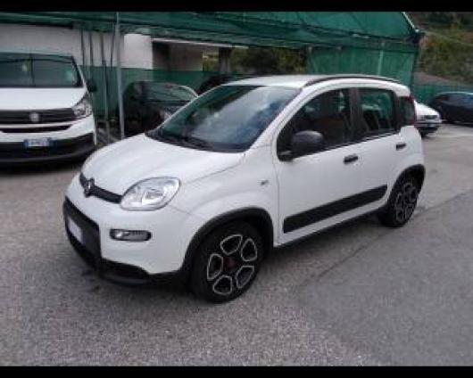 usato FIAT New Panda