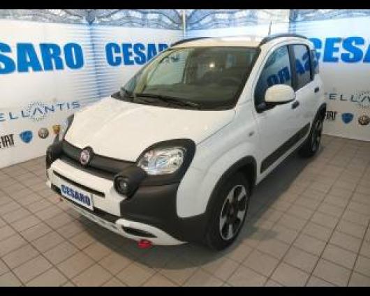 usato FIAT New Panda