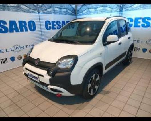 usato FIAT New Panda