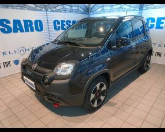 usato FIAT New Panda