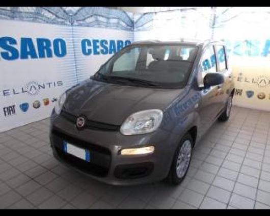 usato FIAT New Panda