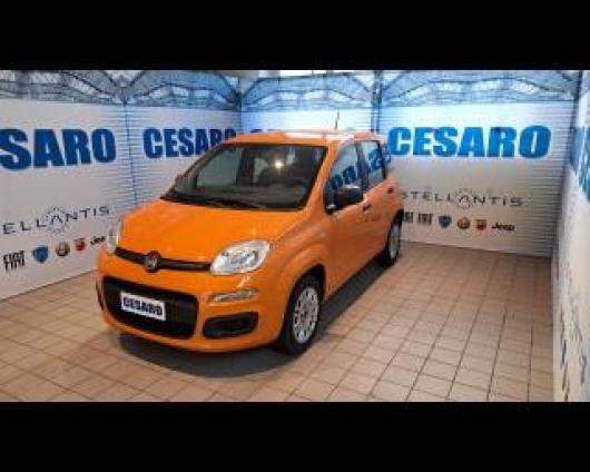 usato FIAT New Panda