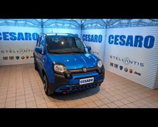 usato FIAT New Panda