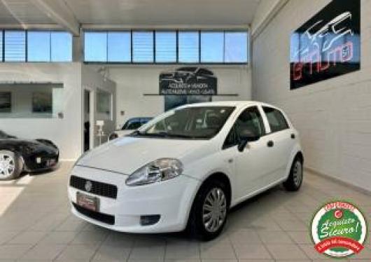 usato FIAT Grande Punto