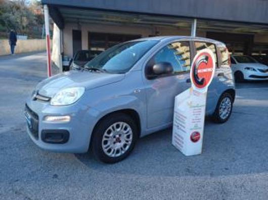 usato FIAT Panda