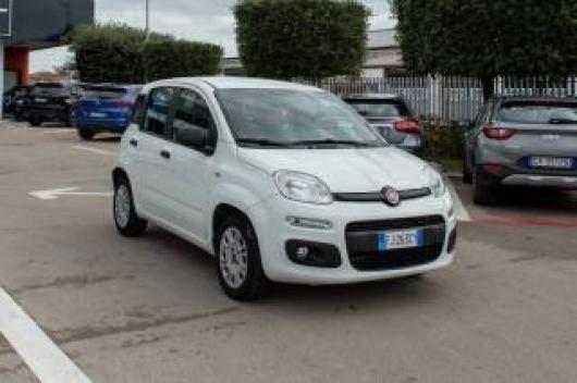 usato FIAT Panda