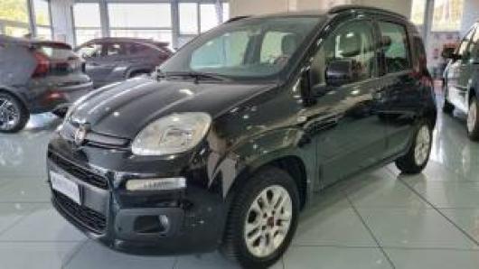 usato FIAT Panda