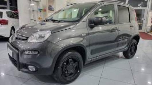 usato FIAT Panda