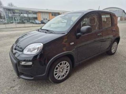 usato FIAT Panda