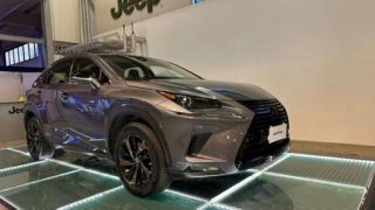 usato LEXUS NX 300