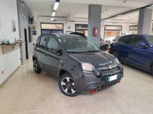 usato FIAT Panda Cross