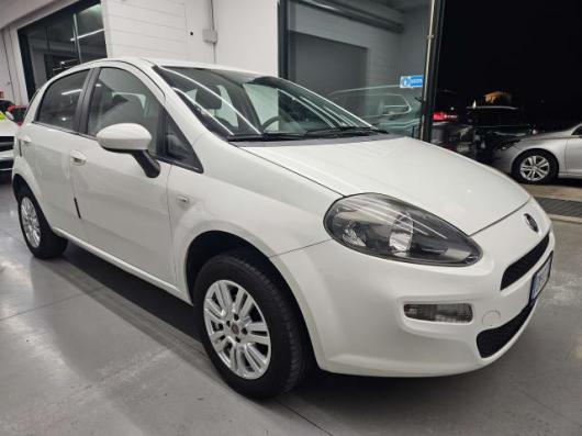 usato FIAT Punto