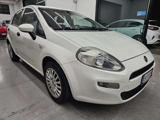 usato FIAT Punto