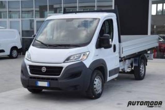 usato FIAT Ducato